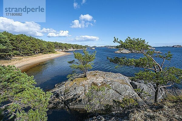 Kanelstranda  Küste im Naturpark Furulunden am Mannefjord  Mandal  Norwegen  Europa