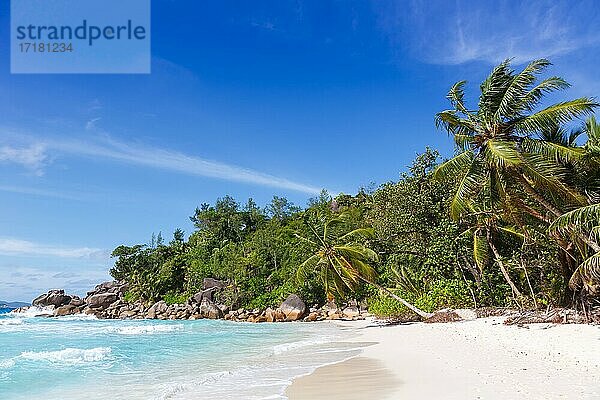 Anse Georgette Strand Urlaub Insel Praslin Palme Meer  Praslin  Seychellen  Afrika