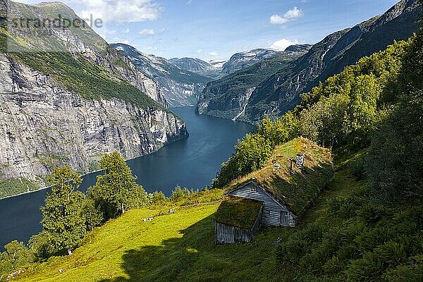 Blomberg Gård  historischer Bergbauernhof an steilem Berghang  Geirangerfjord  bei Geiranger  Møre og Romsdal  Norwegen  Europa