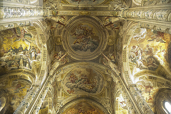 Italien  Europa  Piemont  Asti  die Kathedrale von Santa Maria Assunta und San Gottardo
es ist eine Kirche mit dem höchsten Ausdruck der gotischen Architektur. Gewölbe. Innenraum