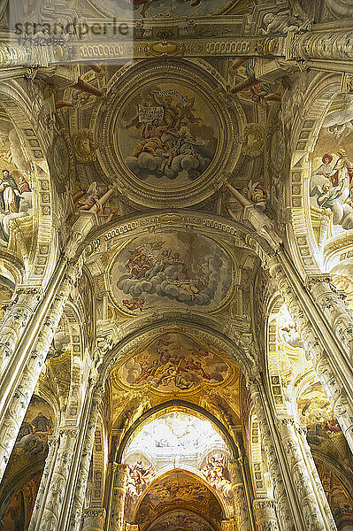 Italien  Europa  Piemont  Asti  die Kathedrale von Santa Maria Assunta und San Gottardo
es ist eine Kirche mit dem höchsten Ausdruck der gotischen Architektur. Gewölbe. Innenraum