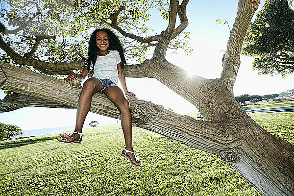 Junge gemischte Rasse Mädchen sitzt in einem Baum Zweig