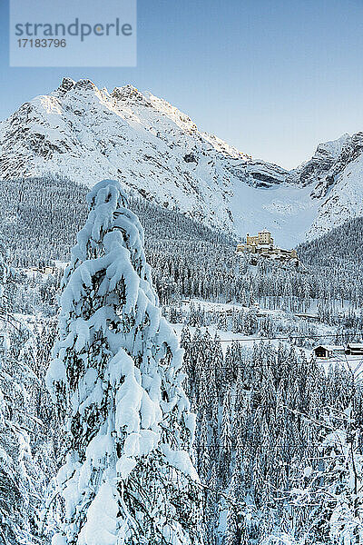 Bäume bedeckt mit Schnee im Wald um das alte Schloss Tarasp und Berge  Engadin  Kanton Graubünden  Schweiz  Europa