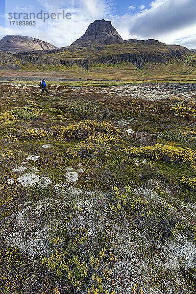 Wanderer in offener Tundra und säulenförmigem Basalt in Brededal  Disko Island  Qeqertarsuaq  Baffin Bay  Grönland  Polarregionen