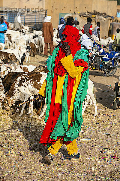 Leibwächter des Sultans von Agadez  Tiermarkt  Agadez  Niger  Afrika