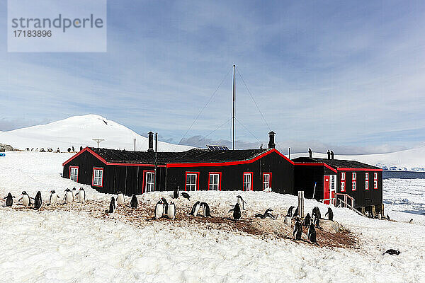 Ehemaliger britischer Stützpunkt A  jetzt Museum und Postamt in Port Lockroy auf der winzigen Goudier-Insel  Antarktis  Polarregionen