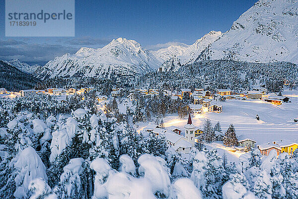Winterwald mit Schnee bedeckt um Chiesa Bianca und Maloja in der Abenddämmerung  Bergell  Engadin  Kanton Graubünden  Schweiz  Europa