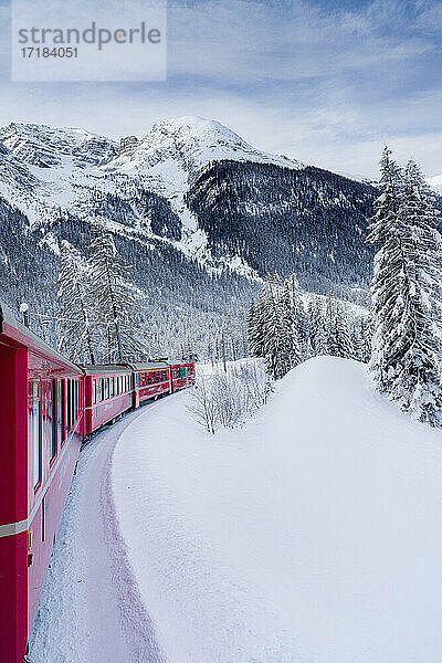 Roter Bernina-Express-Zug beim Durchqueren der verschneiten Landschaft im Winter  Preda Bergun  Albulatal  Kanton Graubünden  Schweiz  Europa