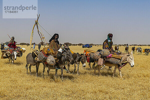 Peul Frau mit ihren Kindern auf ihren Eseln in der Sahelzone  Niger  Afrika