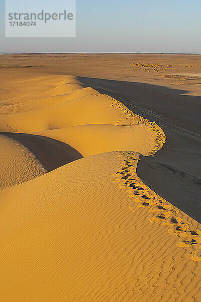 Sanddünen bei Sonnenaufgang  Djado Plateau  Sahara  Niger  Afrika