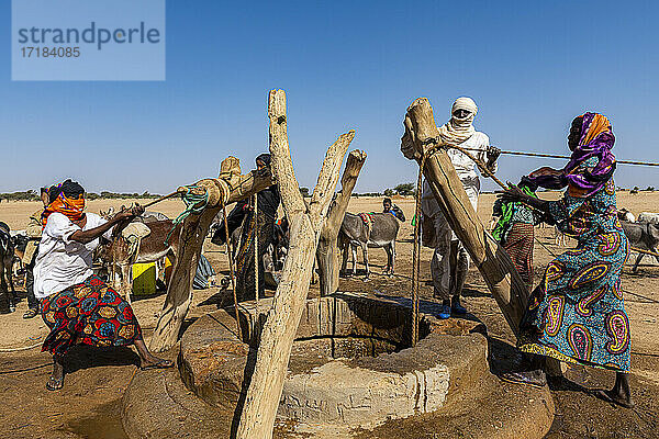 Tuaregs beim Wasserholen an einem Wasserloch in der Sahelzone  nördlich von Agadez  Niger  Afrika