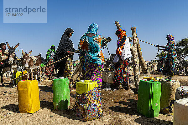 Tuaregs beim Wasserholen an einem Wasserloch in der Sahelzone  nördlich von Agadez  Niger  Afrika