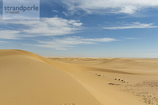 Sanddüne in der Tenere-Wüste  Sahara  Niger  Afrika