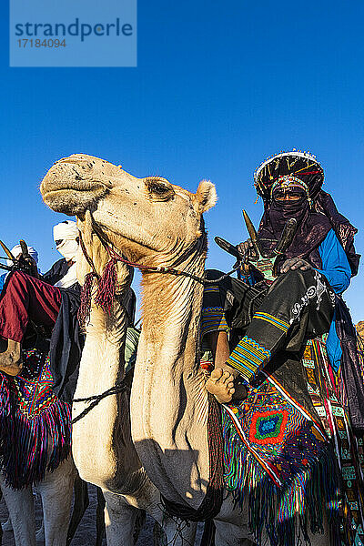 Traditionell gekleidete Tuaregs auf ihren Kamelen  Oase von Timia  Air Mountains  Niger  Afrika