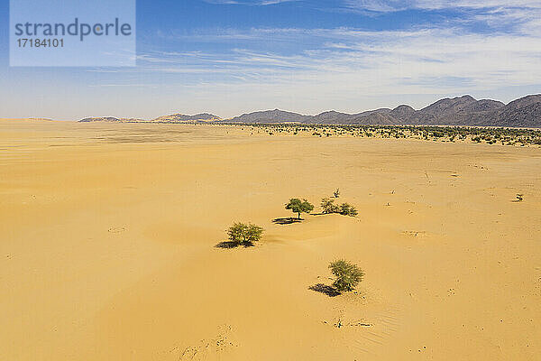 Luftaufnahme der Krabbenklaue Arakao Sanddüne  Tenere Wüste  Sahara  Niger  Afrika