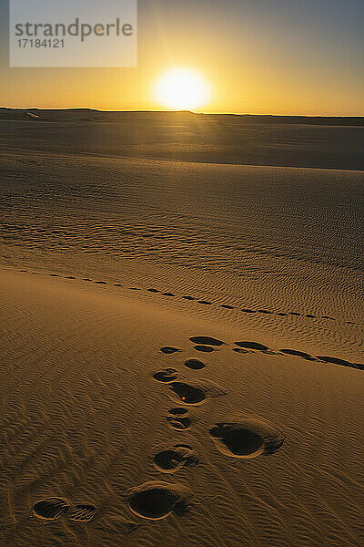 Fußabdrücke und Sandrippel in den Sanddünen der Tenere-Wüste  Sahara  Niger  Afrika