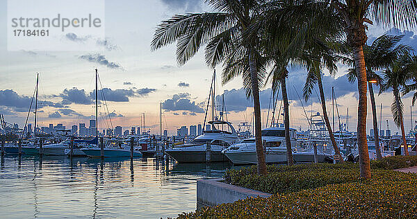 Panoramablick über den Yachthafen von South Pointe Park  Abenddämmerung  Downtown Miami im Hintergrund  South Beach  Miami Beach  Florida  Vereinigte Staaten von Amerika  Nord Amerika