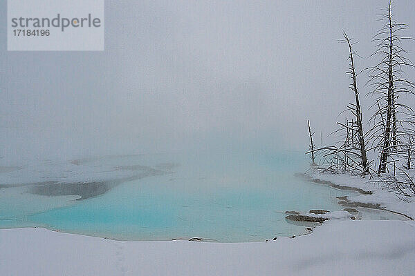 Blaue  in Nebel gehüllte Thermalquelle  Yellowstone National Park  UNESCO Weltkulturerbe  Wyoming  Vereinigte Staaten von Amerika  Nordamerika