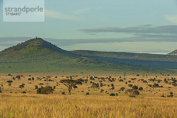 Blick auf Lualenyi  Tsavo Conservation Area  Kenia  Ostafrika  Afrika