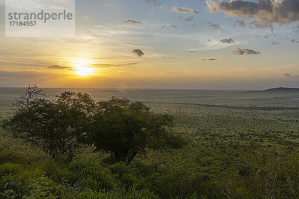 Lualenyi  Tsavo-Schutzgebiet  Kenia  Ostafrika  Afrika