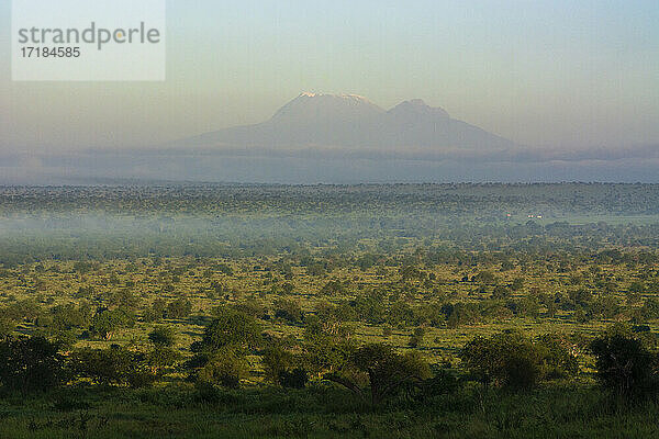 Blick auf den Kilimandscharo von Lualenyi  Tsavo Conservation Area  Kenia  Ostafrika  Afrika