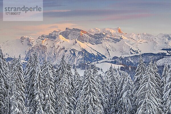 Aussicht vom Gotschalkenberg mit Blick zum Glärnisch in dne Schwyzer Alpen  Schweiz  Europa