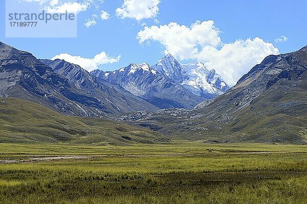 Hochmoor  hinten Bergkette mit Nevado Tuco  Cordillera Blanca  Provinz Recuay  Peru  Südamerika