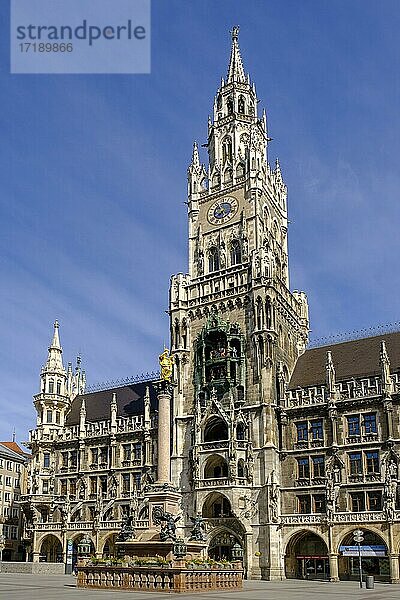 Neues Rathaus mit Mariensäule und Kirchtürmen der Frauenkirche  Marienplatz  München  Bayern  Deutschland  Europa