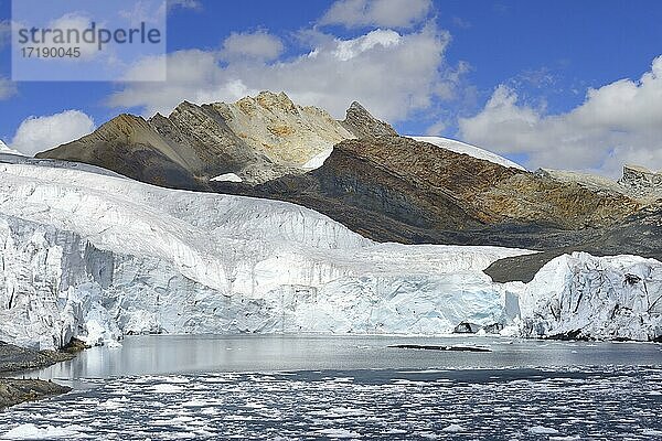 Eisschollen im See vor der Gletscherzunge  Gletscher Pastoruri  Cordillera Blanca  Provinz Recuay  Peru  Südamerika