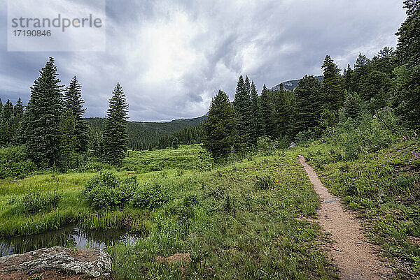 Beaver Meadows Trail in Colorado