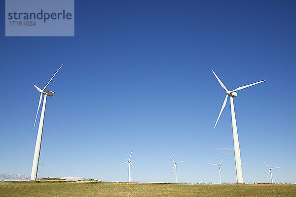 Windräder für die Erzeugung erneuerbarer elektrischer Energie in Spanien.