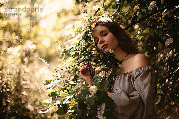 Friedliche junge Frau steht bei blühenden Zweigen im Park im Sommer