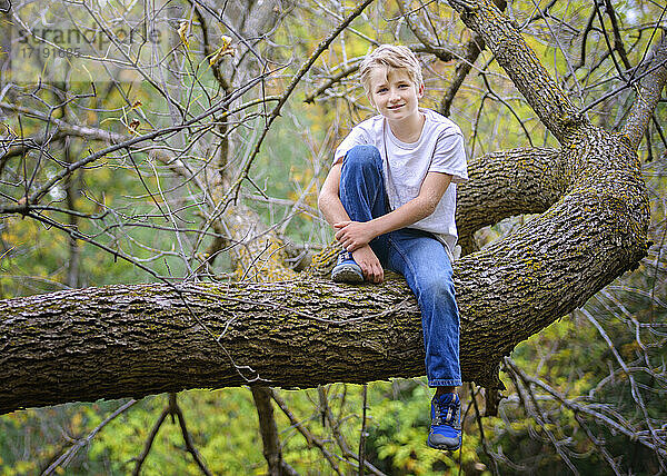 Glücklicher blonder Junge im Freien  der auf einem Baum sitzt.