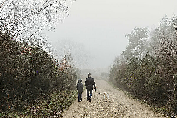 Rückansicht von Vater und Sohn beim Spaziergang mit dem Hund auf einem Kiesweg im Nebel