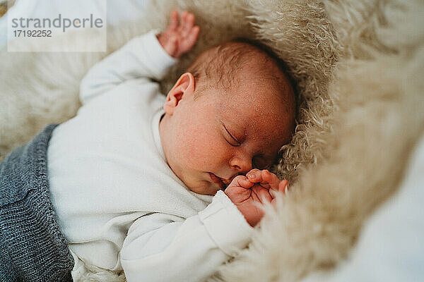 Adorable weißen neugeborenen Baby schlafen in Moses Korb mit gemütlichen Teppich
