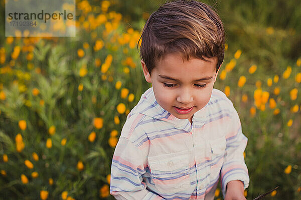 Junger Junge auf einem Feld mit gelben Wildblumen während der Superblüte.