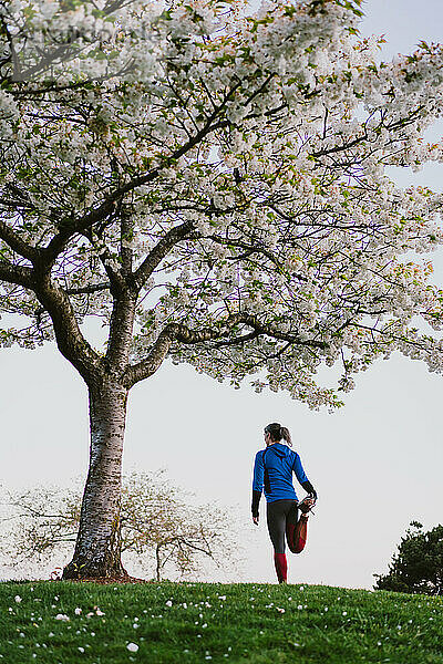 Eine sportliche Frau streckt ihre Beine unter einem Kirschblütenbaum in einem Park aus