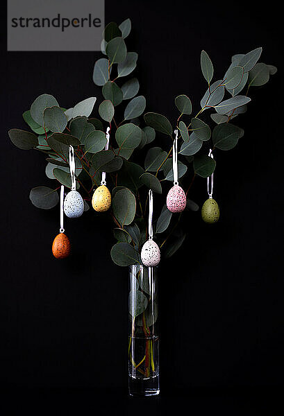 Eukalyptuszweige mit bunten Eiern in Vase auf schwarzem Grund