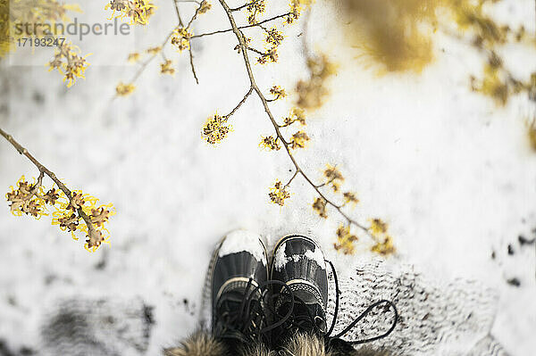 Draufsicht auf Schneestiefel auf verschneitem Boden mit gelben Blumen