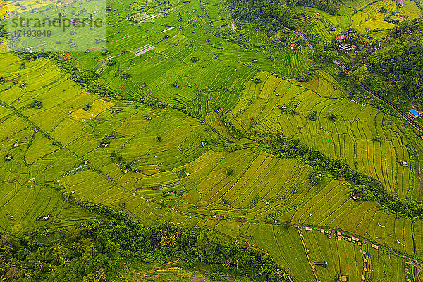 Terrassenförmig angelegte Reisfelder mit kleinen landwirtschaftlichen Betrieben auf Bali  Indonesien Blick aus der Vogelperspektive von oben auf üppig grüne Reisfelder auf einem Hügel