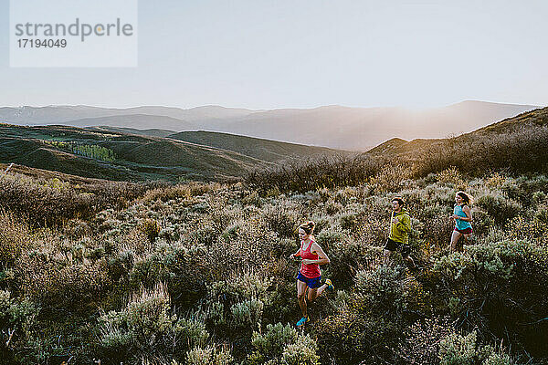 Drei Freunde beim Trailrunning in den Bergen zur goldenen Stunde