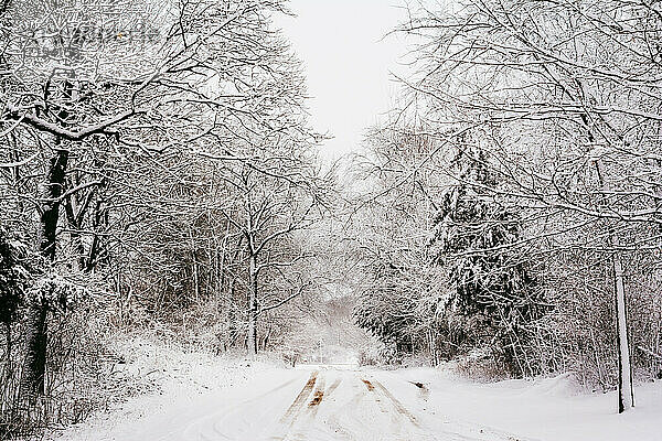 Schneebedeckte Bäume auf einer verschneiten Landstraße in Süd-Michigan