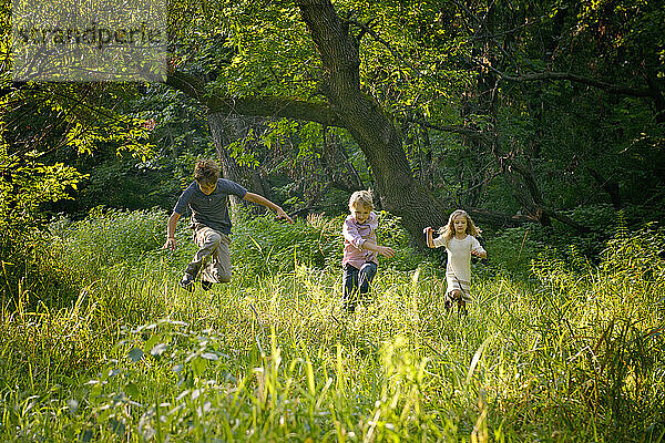 Drei blonde Kinder laufen auf einer schönen Wiese.