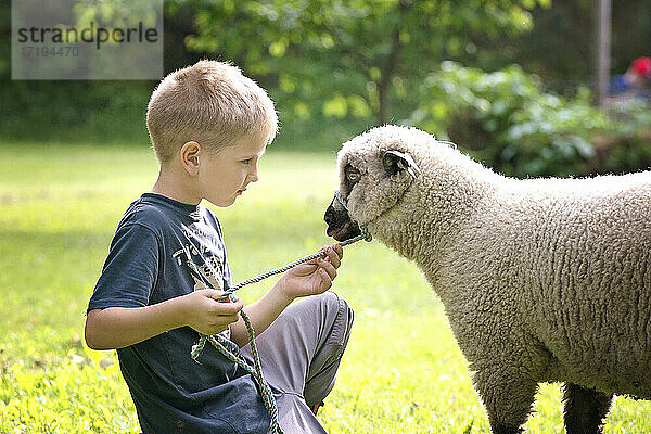 Niedlicher kleiner blonder Junge mit einem Lamm im Freien.