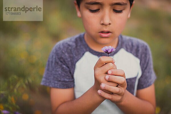 Junge hält eine violette Blume in einem Feld mit Wildblumen.