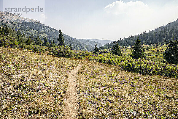 Wanderweg in der Buffalo Peaks Wilderness  Colorado