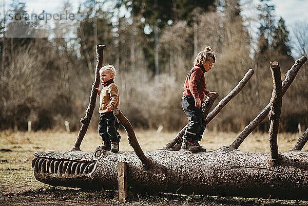 Brüder  die an einem sonnigen Wintertag auf einem geschnitzten Baumstamm im Wald spazieren gehen