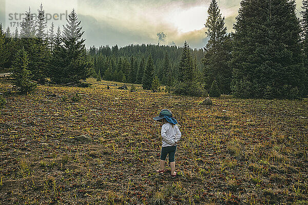 Ein kleines Kind erkundet die Wildnis von Colorado