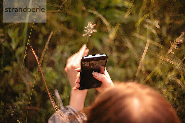 Junge Frau fotografiert Gras mit Smartphone im Sommerwald