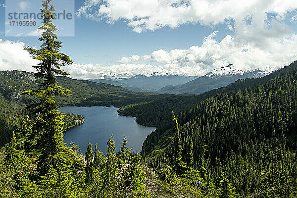 Grüne Nadelbäume wachsen in der Nähe eines friedlichen Sees in den Bergen gegen den bewölkten Himmel in Whistler  Kanada